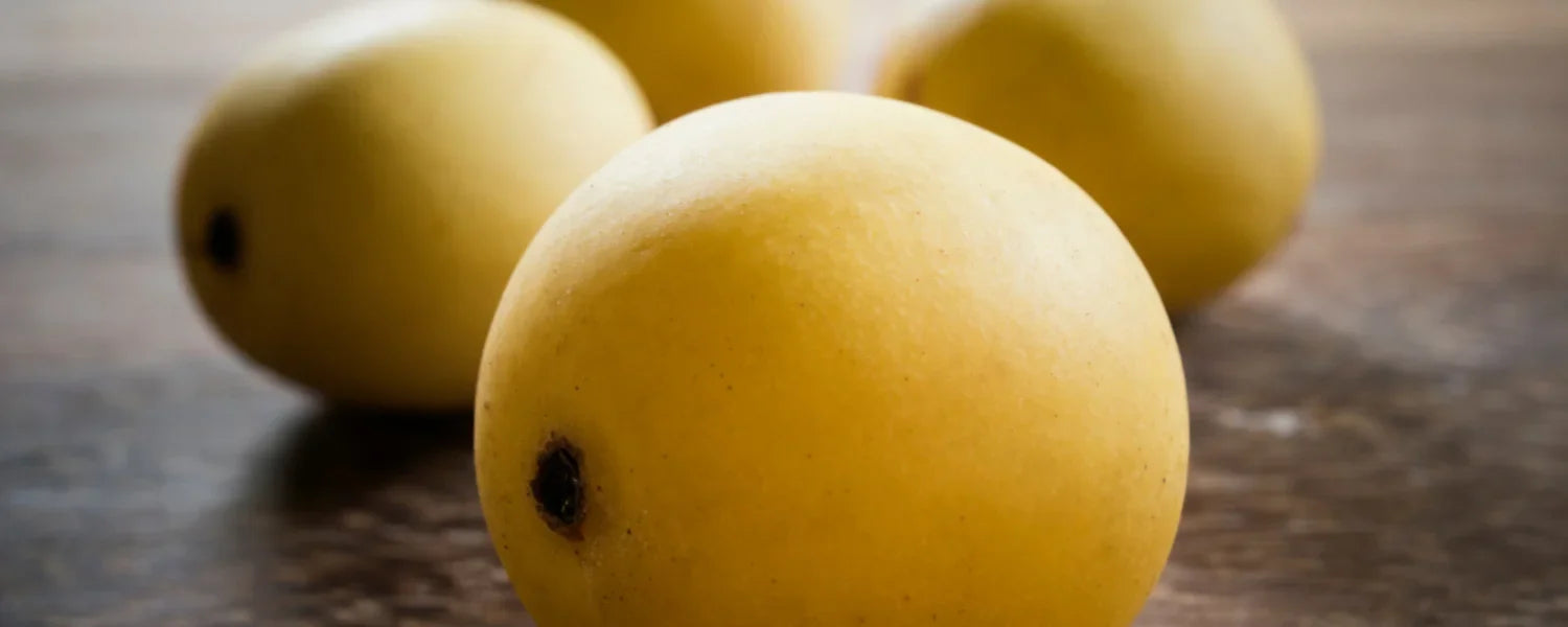 Marula frugter