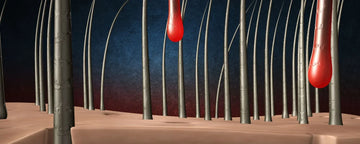 Skadede hårsække: Symptomer, årsager og hvordan de kan genoprettes