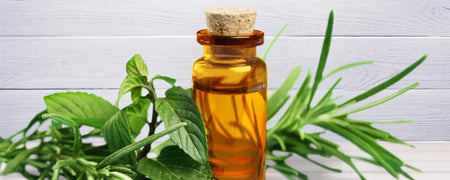 Opdag fordelene ved tea tree oil for hårets sundhed