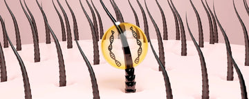 Hårsække i hovedbunden