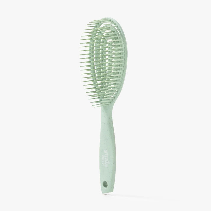 Detangle Brush