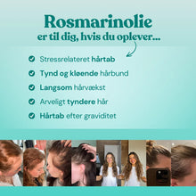 Hair Growth Journey Sæt