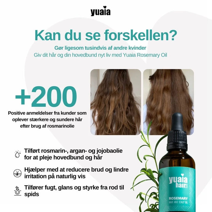 Rosmarin hårolie