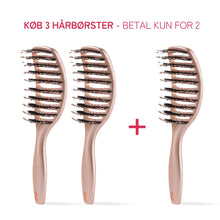 Curvy Brush 3 for 2