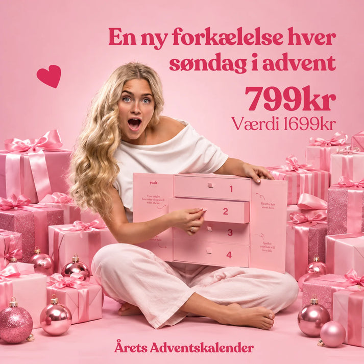PRE-SALE | Adventskalender 2026