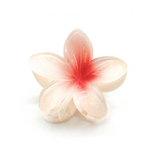 Hawaiiblomst harklemme1B Orchid