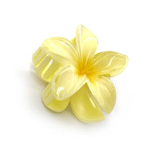 Hawaiiblomst harklemme2B Pineapple