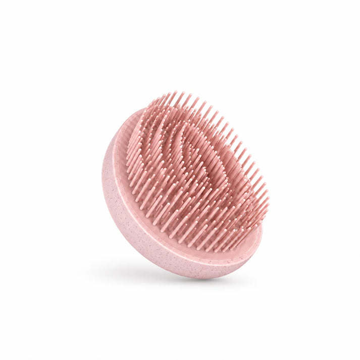 Detangle Egg Brush