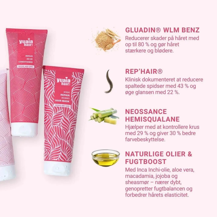 Healthy Hair Kit + Gratis Gave