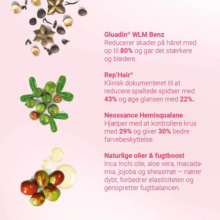 Healthy Hair Kit
