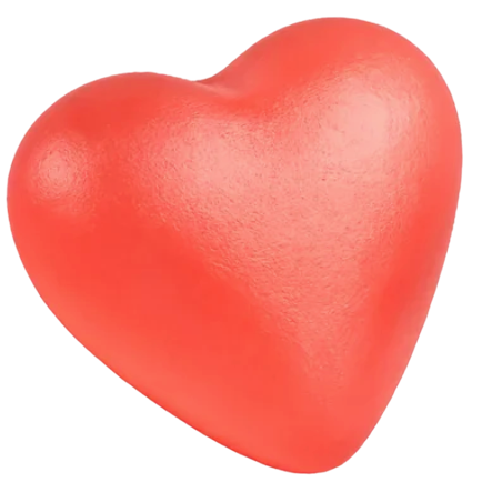 Heart